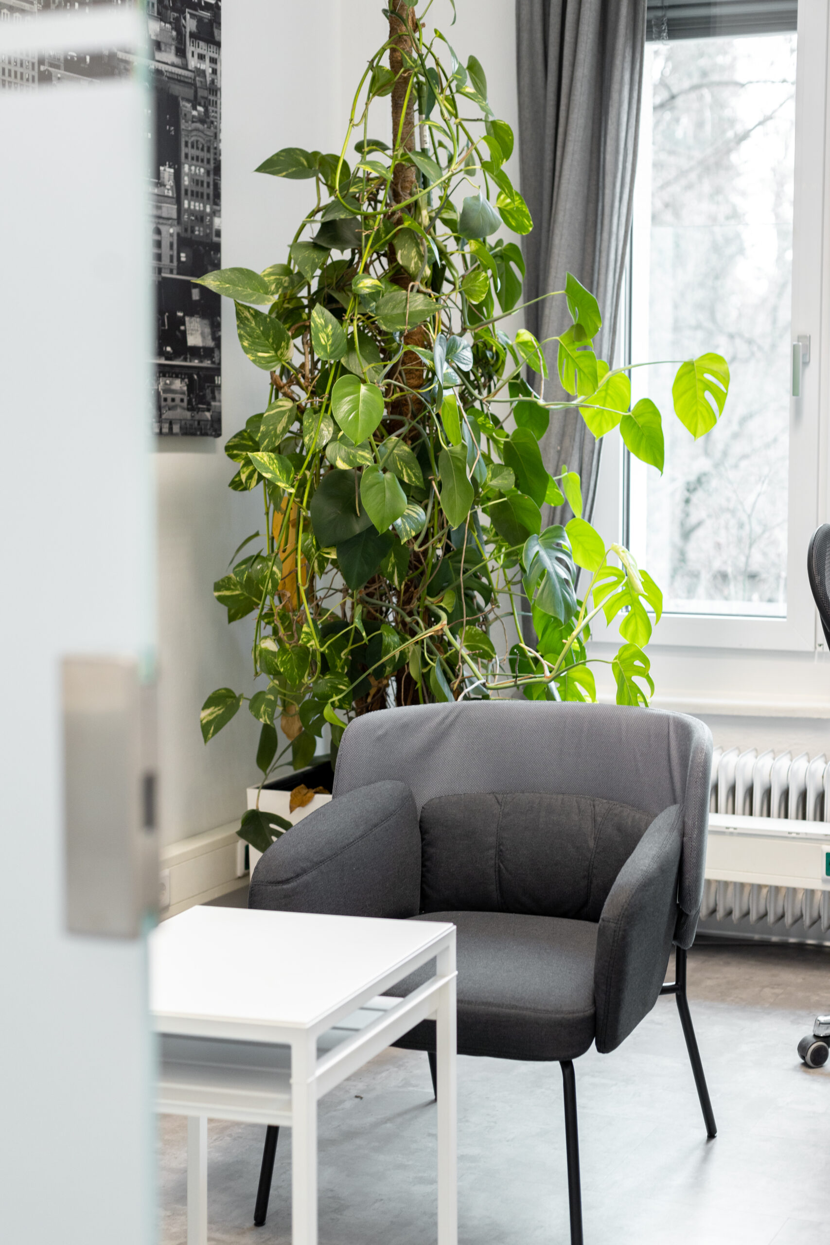 move-ment - Unternehmens- & Personalberatung GmbH I Outplacement